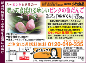 チラシ