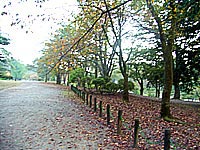 長岡悠久山公園