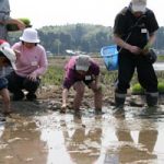 田植え体験会