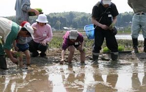 田植え体験会