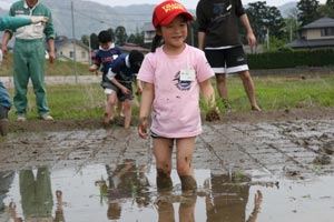 「赤とんぼが生まれる水田オーナー」募集中