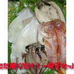 ただ焼くだけ！一夜干セット