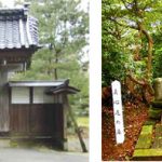 洞雲寺、貞心尼の墓