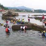 天然の水族館跡