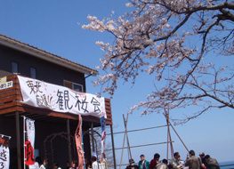 観桜会